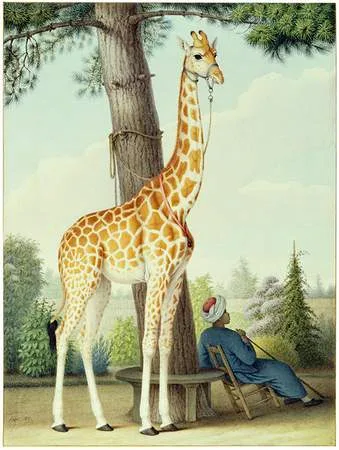 Picture