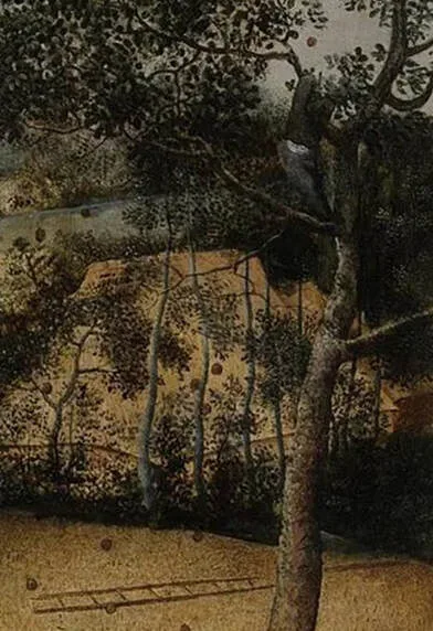 Picture