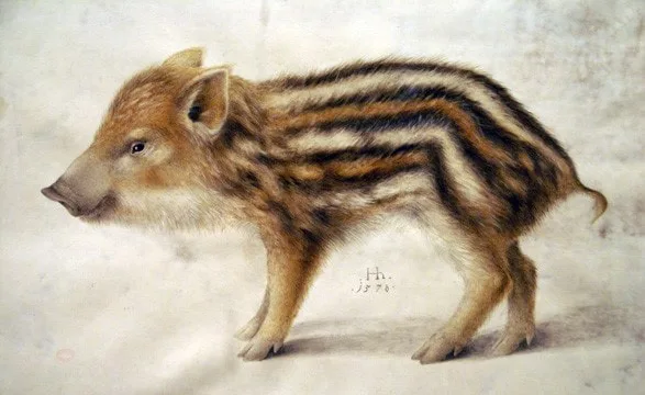 Picture